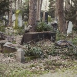 stary cmentarz zydowski