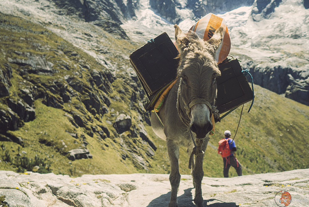 Trekking Cordillera Blanca