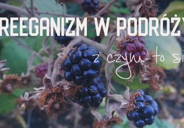 Freeganizm w podróży, czyli z czym to się je?